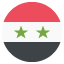 🇸🇾